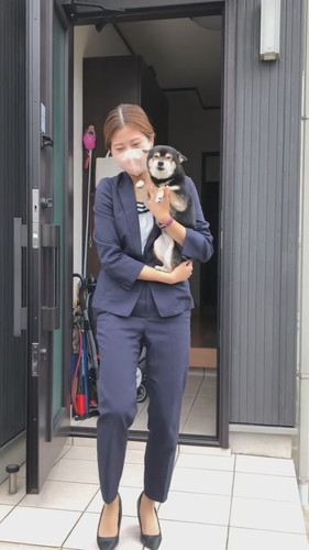 震えて喜ぶ柴犬