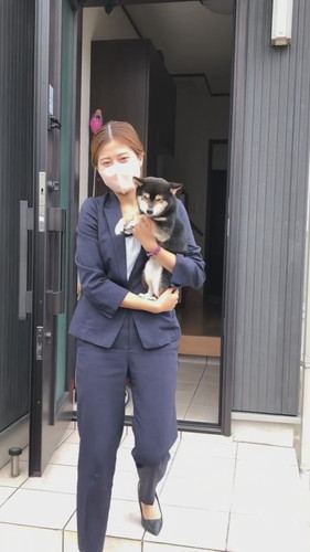 目を細める柴犬