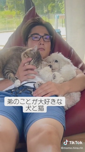 動いているぷーちゃん