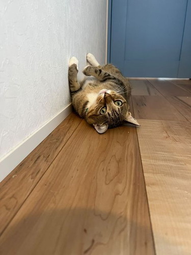 まるちゃんとぷーちゃん