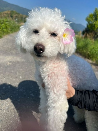 まるちゃんとぷーちゃん