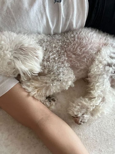 まるちゃんとぷーちゃん