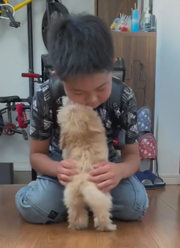 抱き合う犬と男の子
