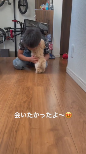 抱きつくワンコ