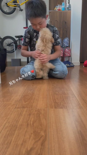 犬をなでる男の子