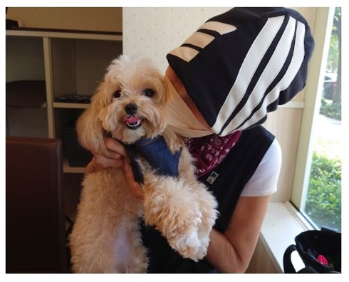 秋野暢子と愛犬