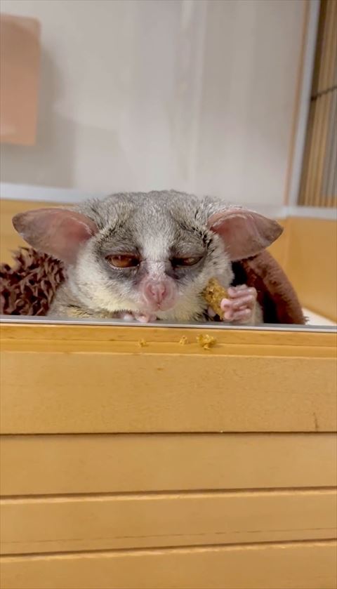 アゴの下に手置いてる