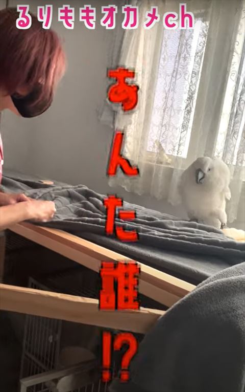 あんた誰テロップ