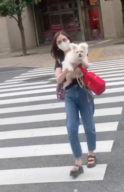 生きのいい魚になるワンコ