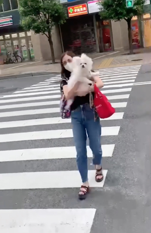 生きのいい魚になるワンコ