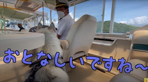 おとなしいですねテロップ