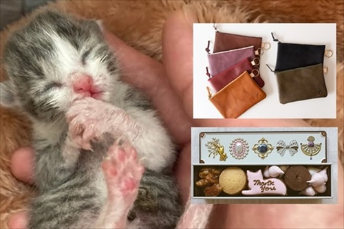 移動手術車プロジェクト