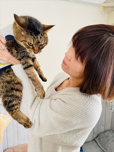 移動手術車プロジェクト