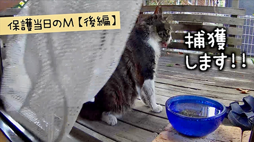 おすすめ