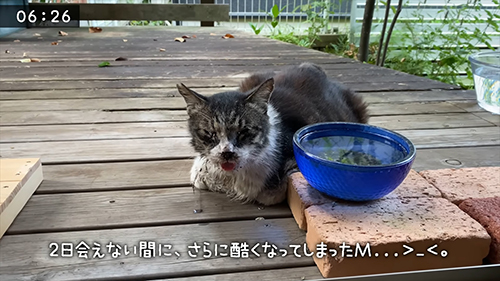 ひどくなってしまったM