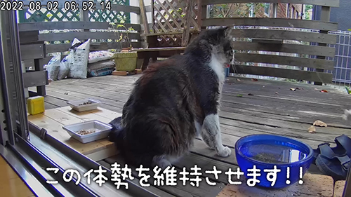 この体勢を維持させます