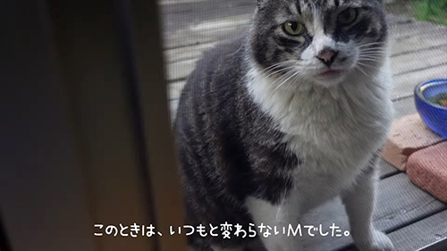 いつもと変わらないM