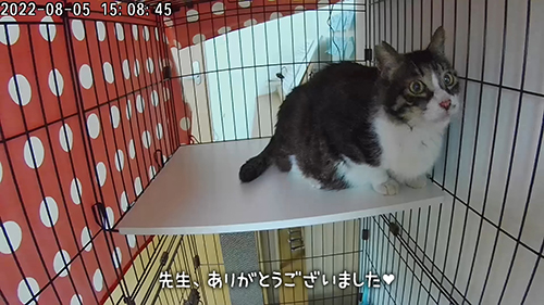 先生ありがとうございました