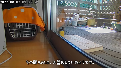 大暴れしていたようです