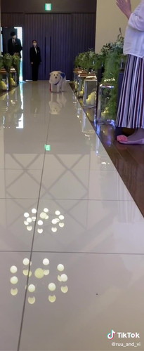 こわごわな様子のルゥくん