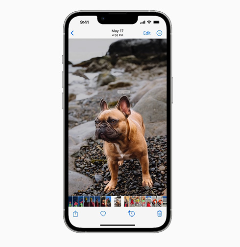 画像の長押しだけで被写体トリミングが可能に　iOS16の画像切り抜き機能スゴイと話題