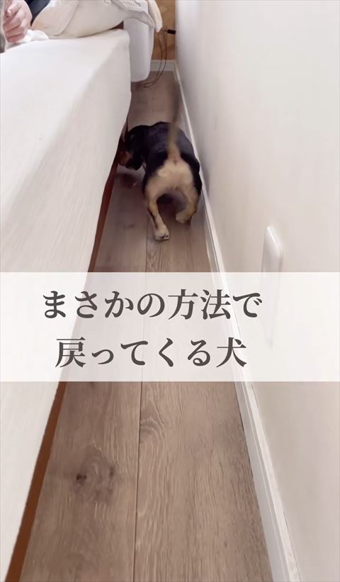 ベッドの下のぞきこむ