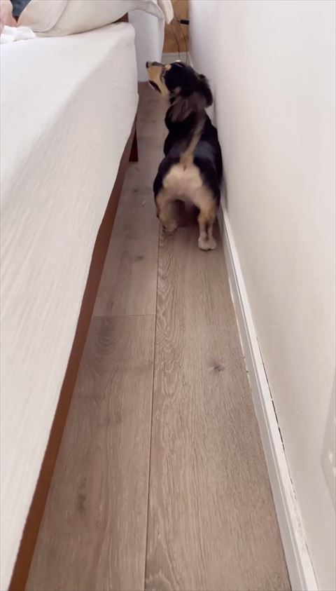 左側見てる