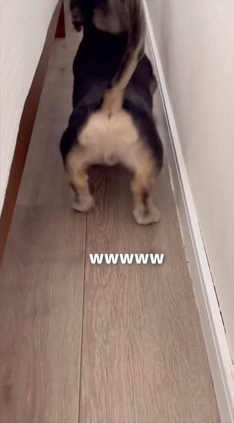 お尻アップ