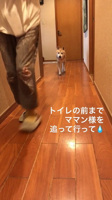 トイレの前まで