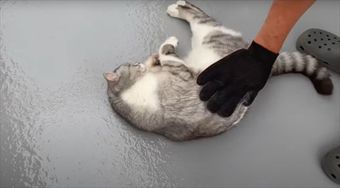 寝ながらブラシ