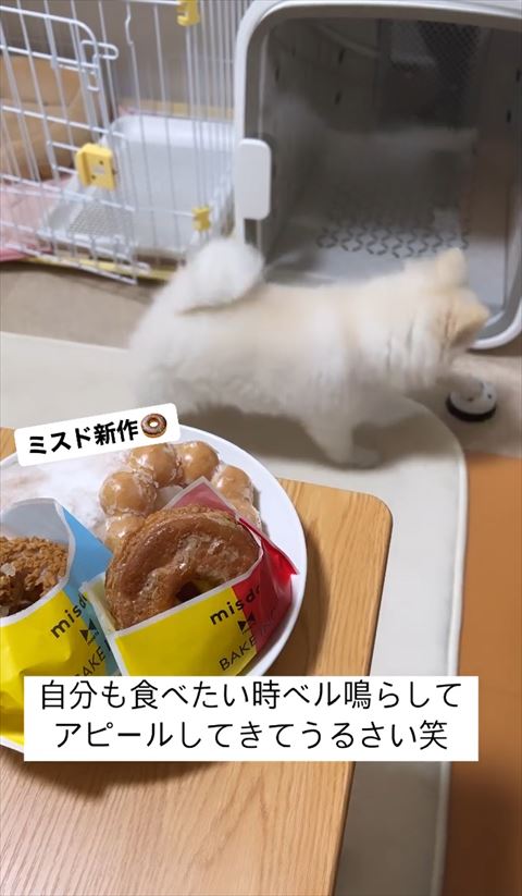 ベル鳴らすおててよく見える