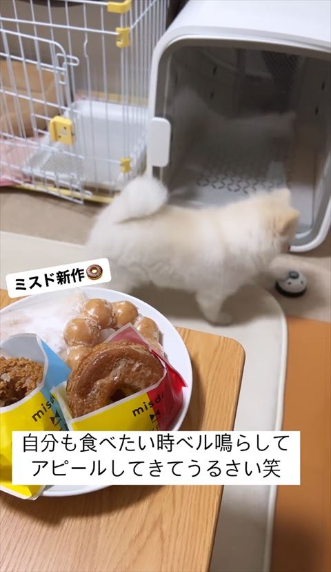 ベルの外側チーン