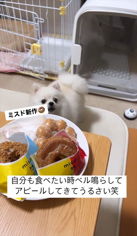 テーブルの近くで物申す