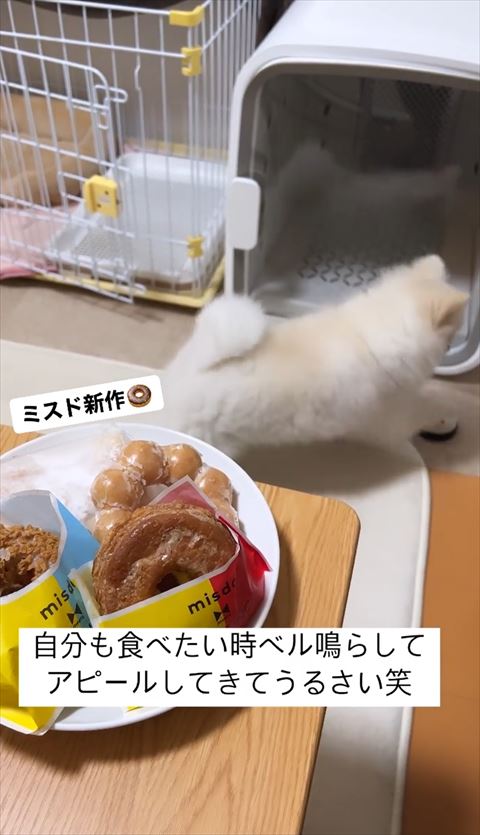 手がぶれてるベルチン
