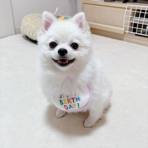 誕生日の写真