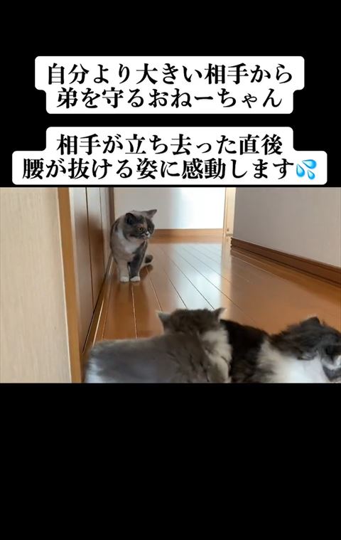 手前に並ぶきょうだい