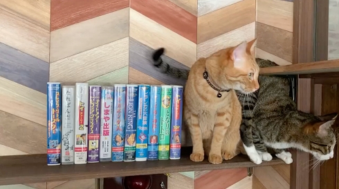 しまや出版 商品化 同人誌