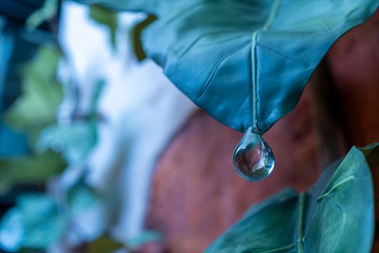 ジブリパーク 写真公開