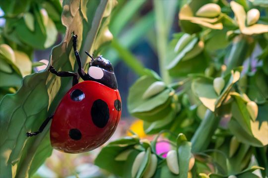 ジブリパーク 写真公開