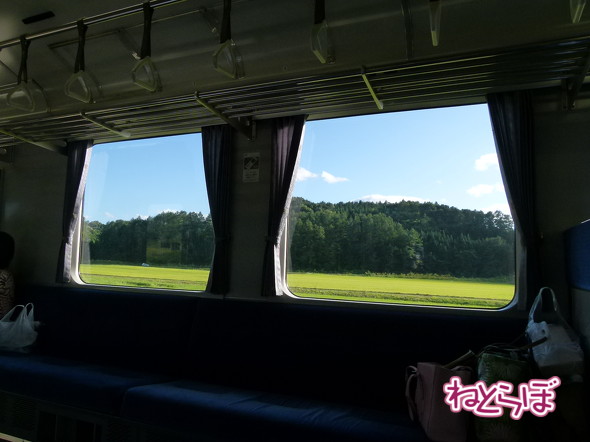 乗っておきたいJR東日本エリアのローカル線 ベスト5