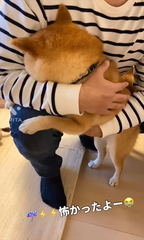 パパにだきつく横から