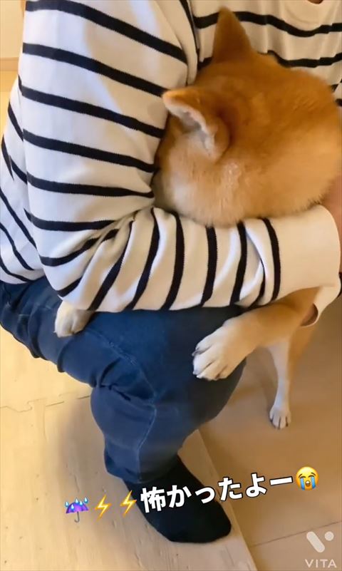 腕の中に顔を埋める上から撮影