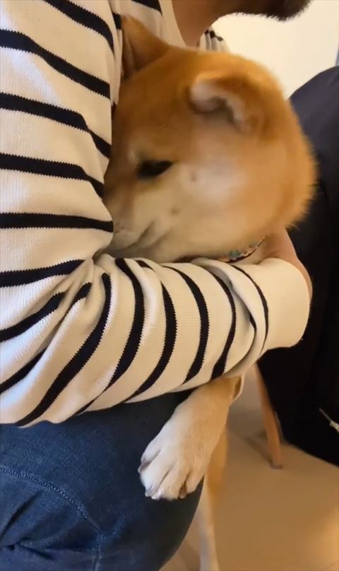 少し顔見えている