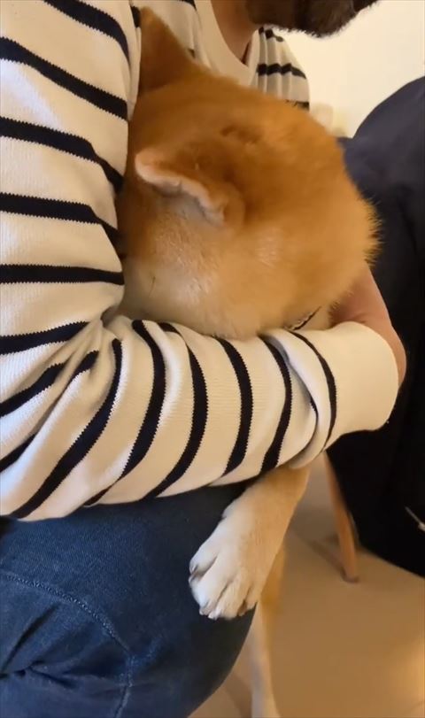 腕の中に顔を埋める正面