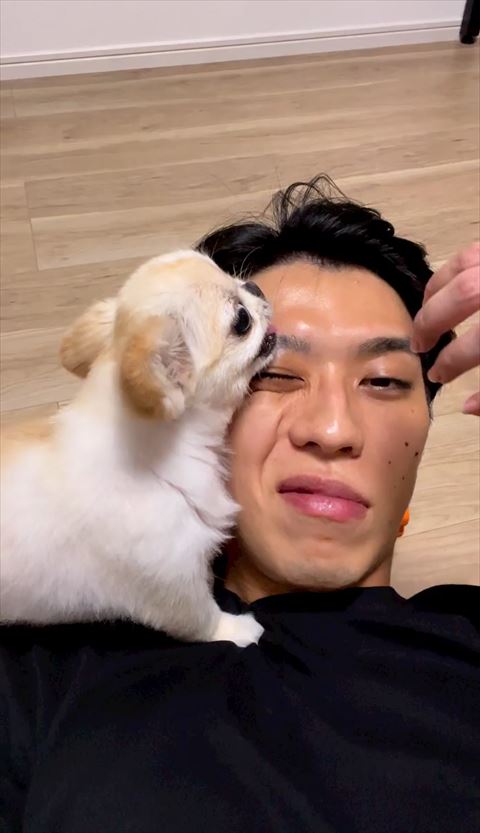 パパさんの目元で怒るピノちゃん