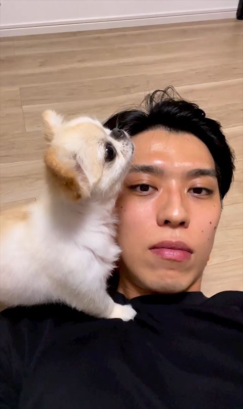 上を見つめるワンコ