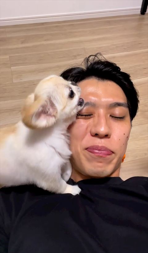 吠えているワンコ