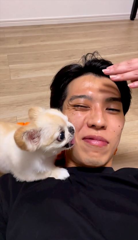 威嚇しているワンコ