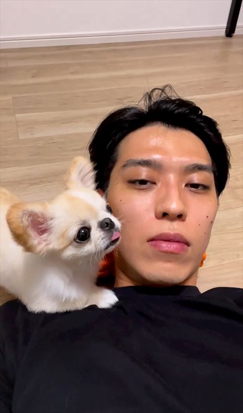 舌だしているワンコ