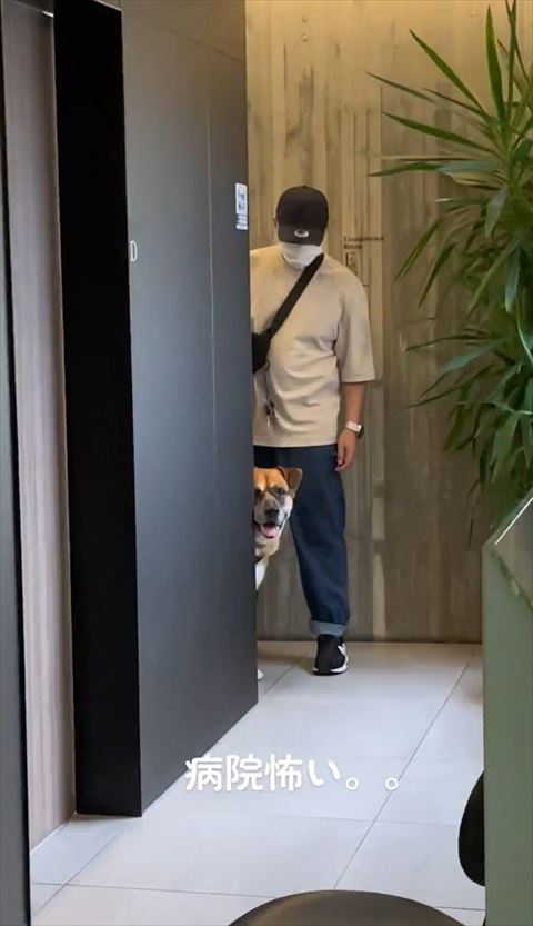 ワンコ遠くから